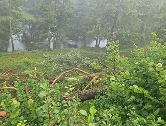 Druskininkai try to fix the storm damage