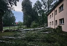 Storm aftermath in Eišiškės and surroundings