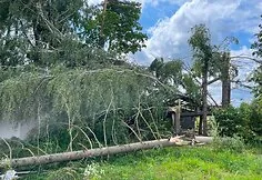 Storm aftermath in the Vilnius district
