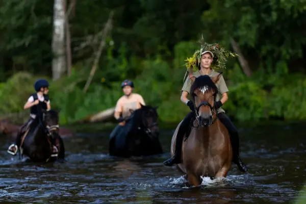 The 15th Nightingale Festival will take place in Anykščiai Regional Park