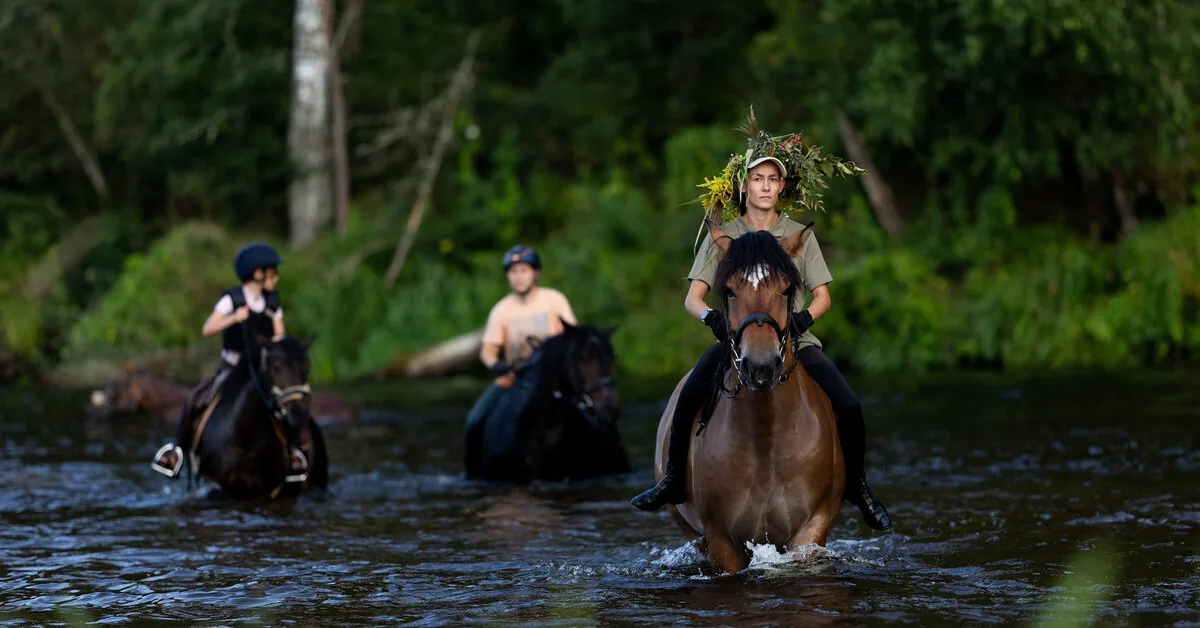 The 15th Nightingale Festival will take place in Anykščiai Regional Park