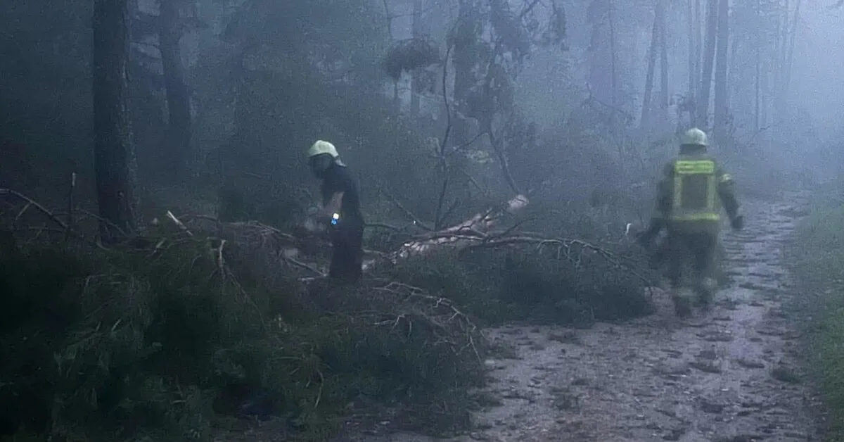 "Worked 12 hours": firefighters cleared roads of fallen trees all night