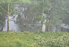 Audra nusiaubė Juozo Jakavonio-Tigro sodybą Kasčiūnuose, Varėnos r.