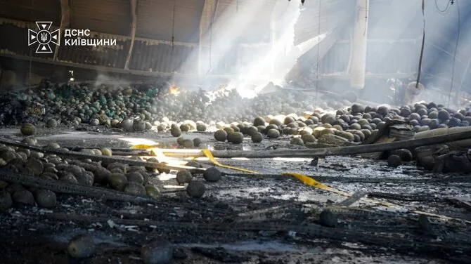 State Emergency Service/ „Telegram“/Food products after fire in a warehouse in Kyiv