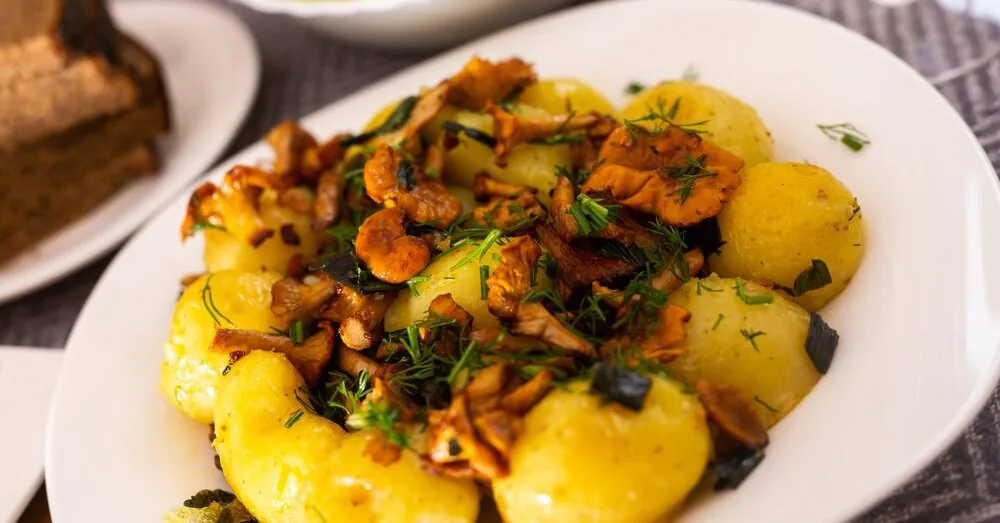 Summer delicacy: chanterelles fried in butter with crushed new potatoes and dill