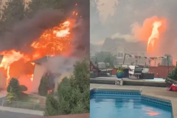 Monstrous fires in America: more than 100,000 hectares burning