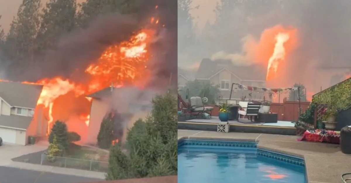 Monstrous fires in America: more than 100,000 hectares burning