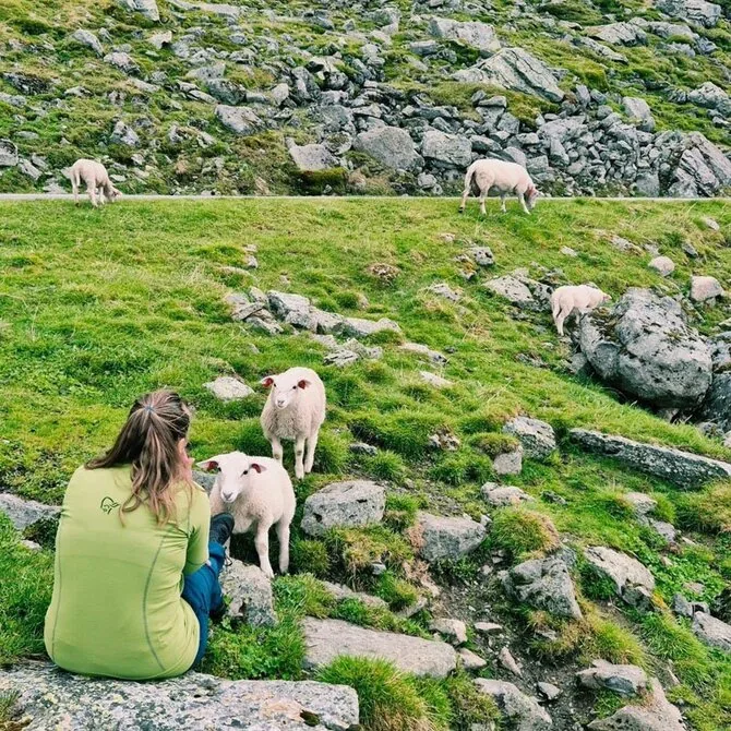 Asmeninio archyvo nuotr. / Norvegija