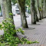 In these parts of Lithuania, dangerous storms are forecasted: warnings about large hail and squalls