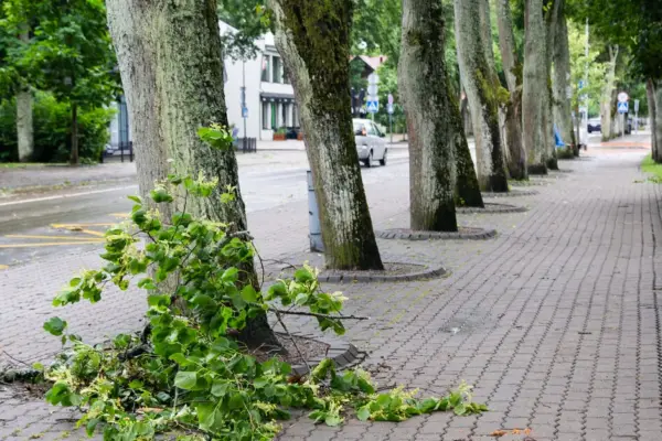 In these parts of Lithuania, dangerous storms are forecasted: warnings about large hail and squalls