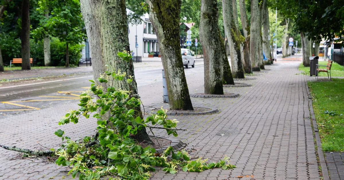 In these parts of Lithuania, dangerous storms are forecasted: warnings about large hail and squalls