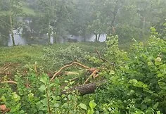 Audra nusiaubė Juozo Jakavonio-Tigro sodybą Kasčiūnuose, Varėnos r.