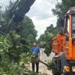 Insurers calculate weekend storm losses: the amount already reaches half a million euros