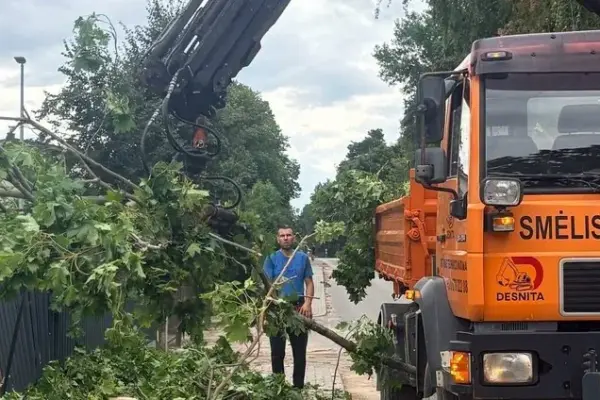 Insurers calculate weekend storm losses: the amount already reaches half a million euros