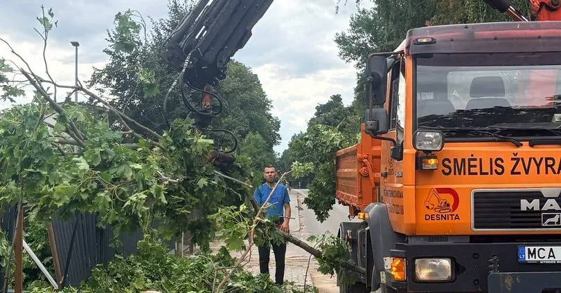 Insurers calculate weekend storm losses: the amount already reaches half a million euros
