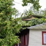 46 thousand ESO customers in Lithuania still do not have electricity