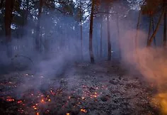 Forest fire in Spain