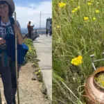 From the courtroom to the "edge of the world": lawyer Inga openly shares how the Camino journey and an unexpected hobby helped her find peace
