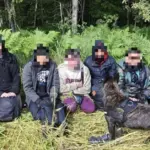 Lithuanian cynologists in Latvia helped detain 11 illegal migrants: there were also challenging tasks