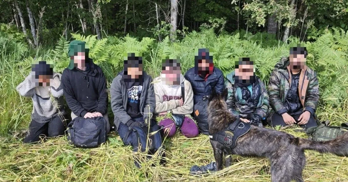 Lithuanian cynologists in Latvia helped detain 11 illegal migrants: there were also challenging tasks