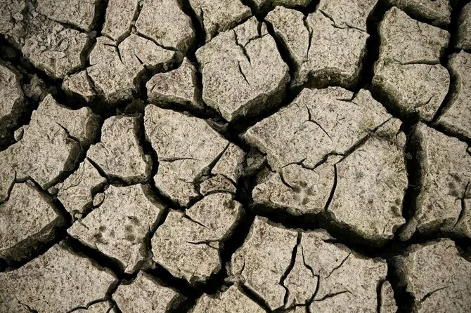 Drought / VALENTINE CHAPUIS / AFP