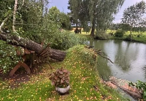 The storm toppled a huge birch in Kaišiadorys district