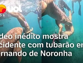 „The pain was very intense“: Brazilian influencer who survived a shark attack experienced a real nightmare