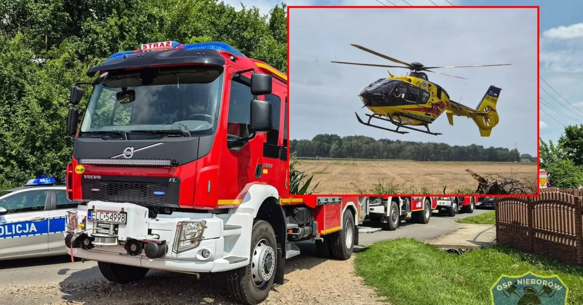Tragedy in Poland: 11-year-old boy on electric scooter crashed into a combine harvester and died