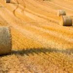Kėdainių rajone sudegė apie 500 šiaudų ryšulių
