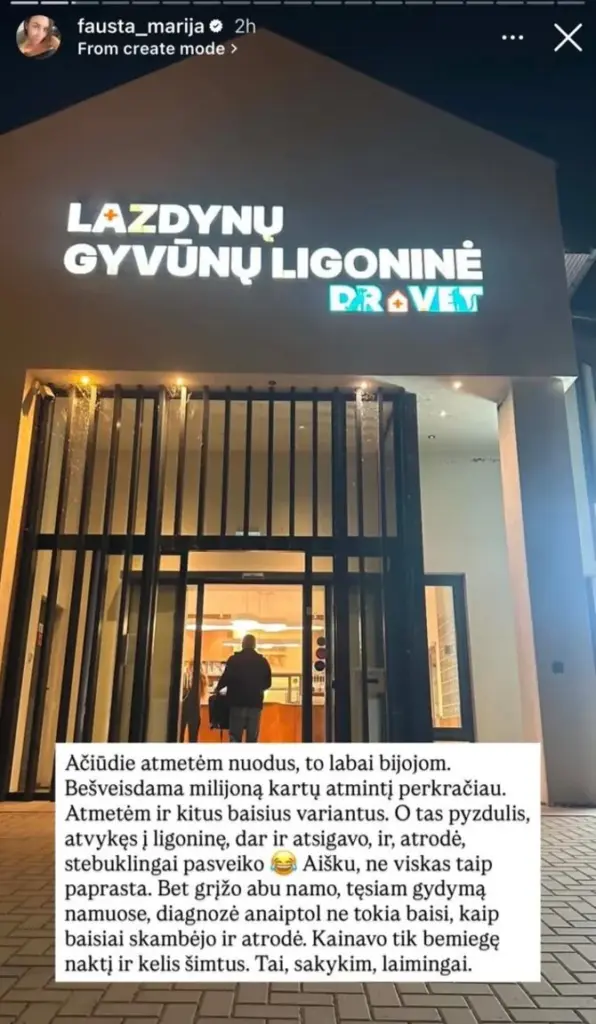 Soc. tinklų nuotr./Faustos Marijos Leščiauskaitės įrašai