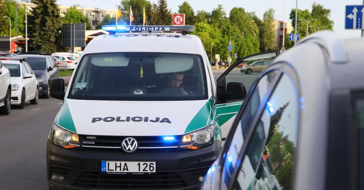 In Vilnius, a woman was attacked in broad daylight: beaten, her necklace torn off from her neck, and her handbag stolen