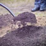 Strengthening the garden in autumn? This habit can do more harm than good to the soil