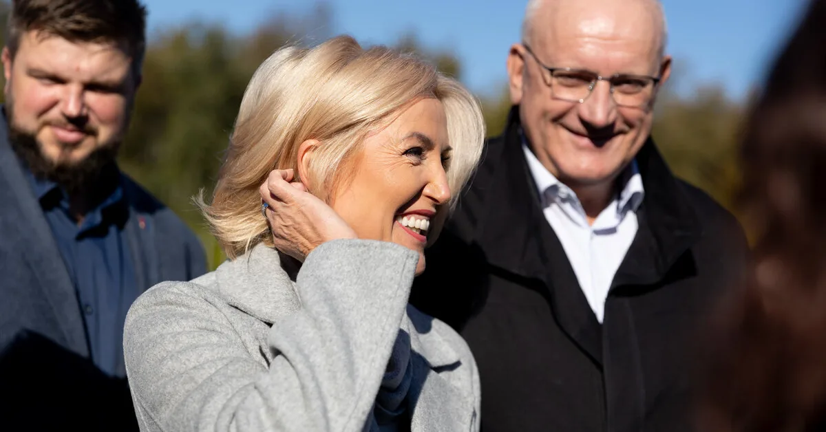 Construction Inspection spoke about Živilė and Jonas Pinskas' homestead: inspection completed