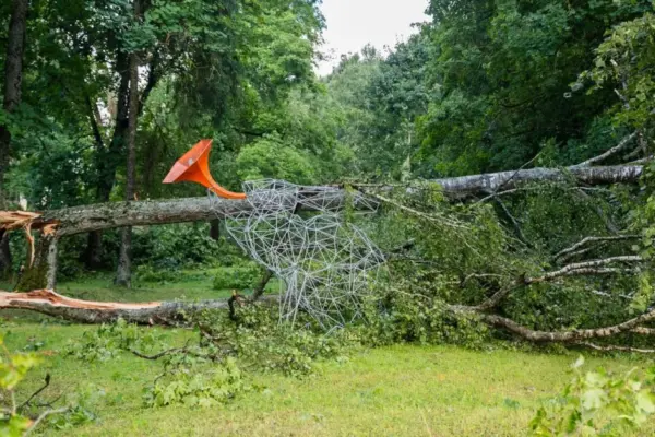 Vilnius district mayor on the scale of the storm: the biggest consequences – in two elderships