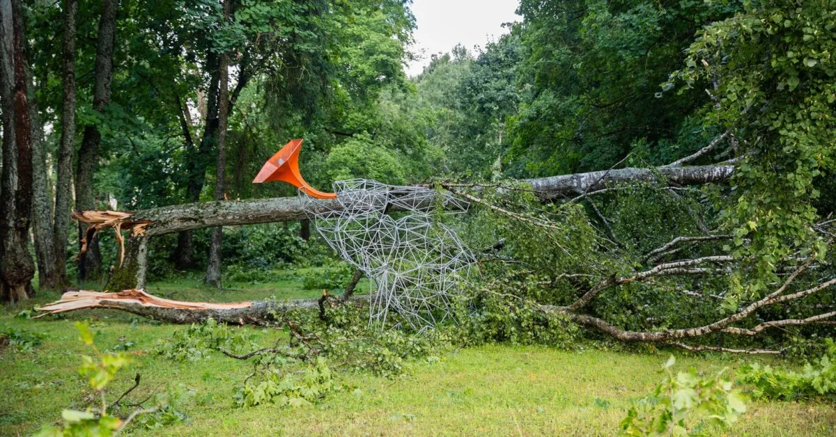 Vilnius district mayor on the scale of the storm: the biggest consequences – in two elderships