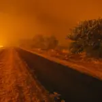 Southern Europe is on fire: tourists no longer know what to do