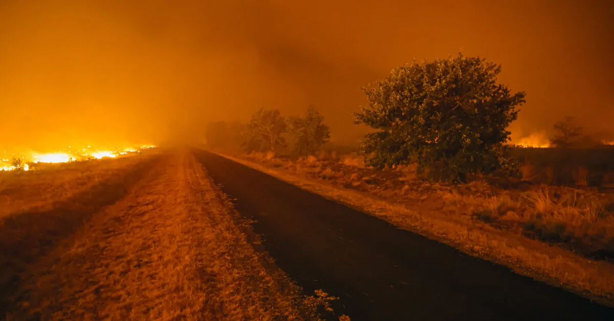 Southern Europe is on fire: tourists no longer know what to do