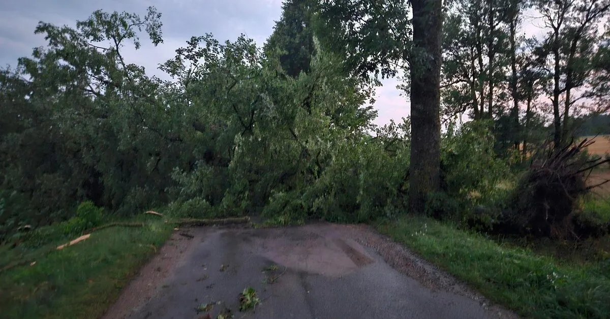 After the devastating storm – meteorologist's message: changes are coming