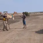 Dalolas and Tigray: from the hottest place on earth to sky-reaching churches