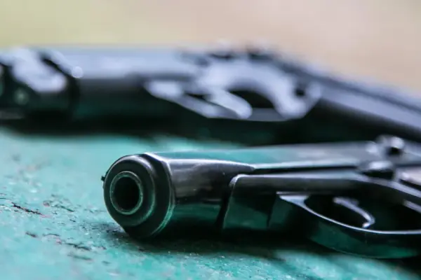 Pistols found in Švenčionys and Varėna districts