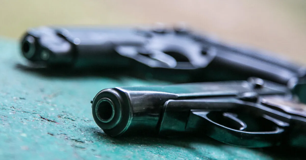 Pistols found in Švenčionys and Varėna districts
