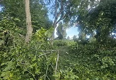 The Kernavė archaeological site was severely damaged during the storm