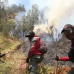 In Indonesia, the national park is closed due to spreading forest fires