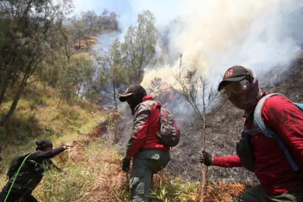 In Indonesia, the national park is closed due to spreading forest fires