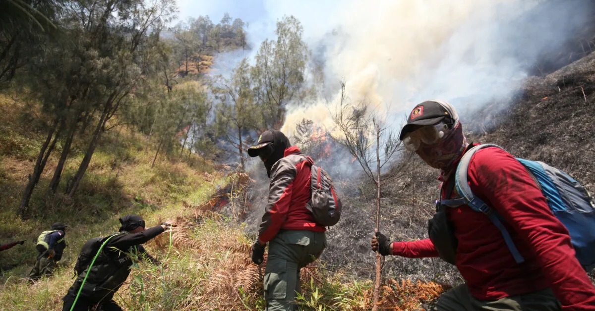 In Indonesia, the national park is closed due to spreading forest fires