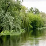 Tragedy in Kalvarija: man pulled from the river has died
