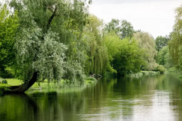Tragedy in Kalvarija: man pulled from the river has died