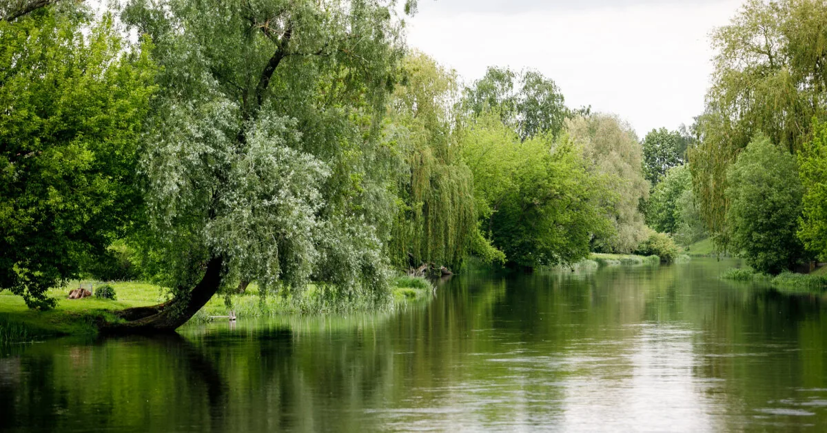 Tragedy in Kalvarija: man pulled from the river has died