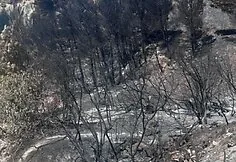 Gaisras Kroatijoje