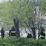 Operational searches in the river unexpectedly reminded of the woman who disappeared last spring